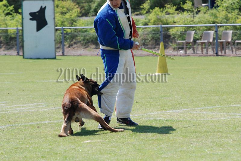 3 EME SELECTIF 2009 GRANDE SYNTHE 132.jpg